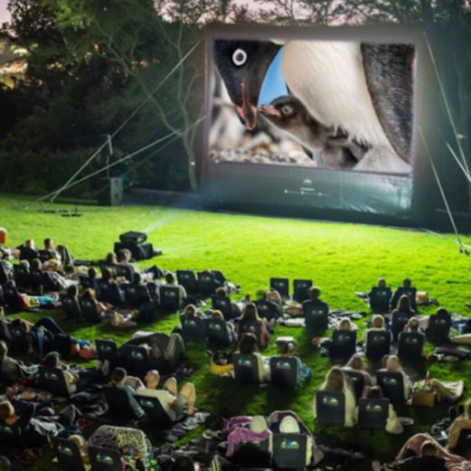 Pokazy filmowe na świeżym powietrzu