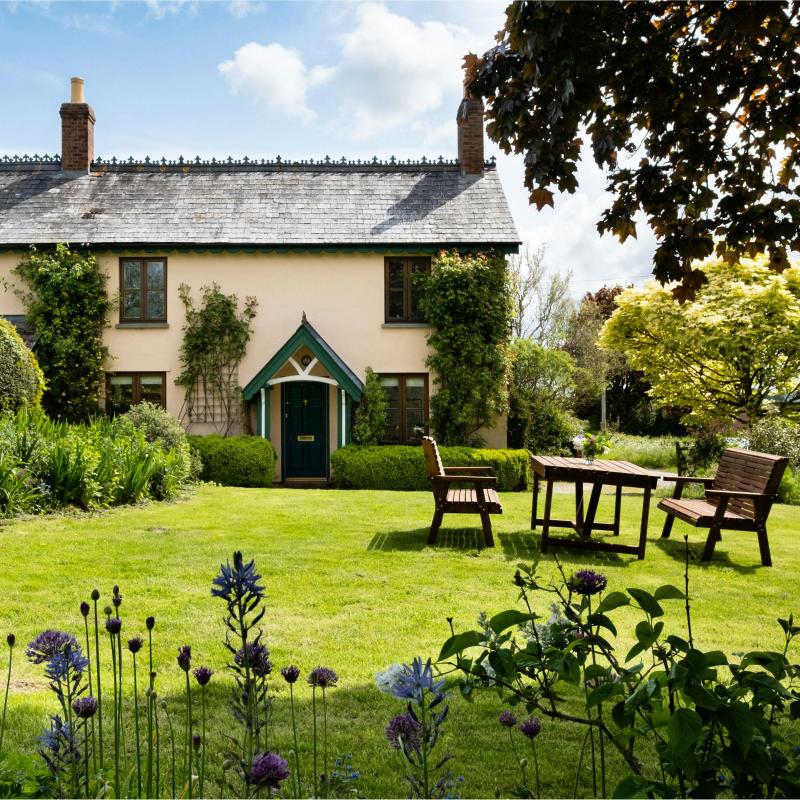 Patio, trawnik i ogród